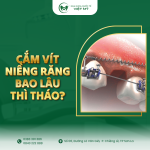 VIT NIENG RĂNG